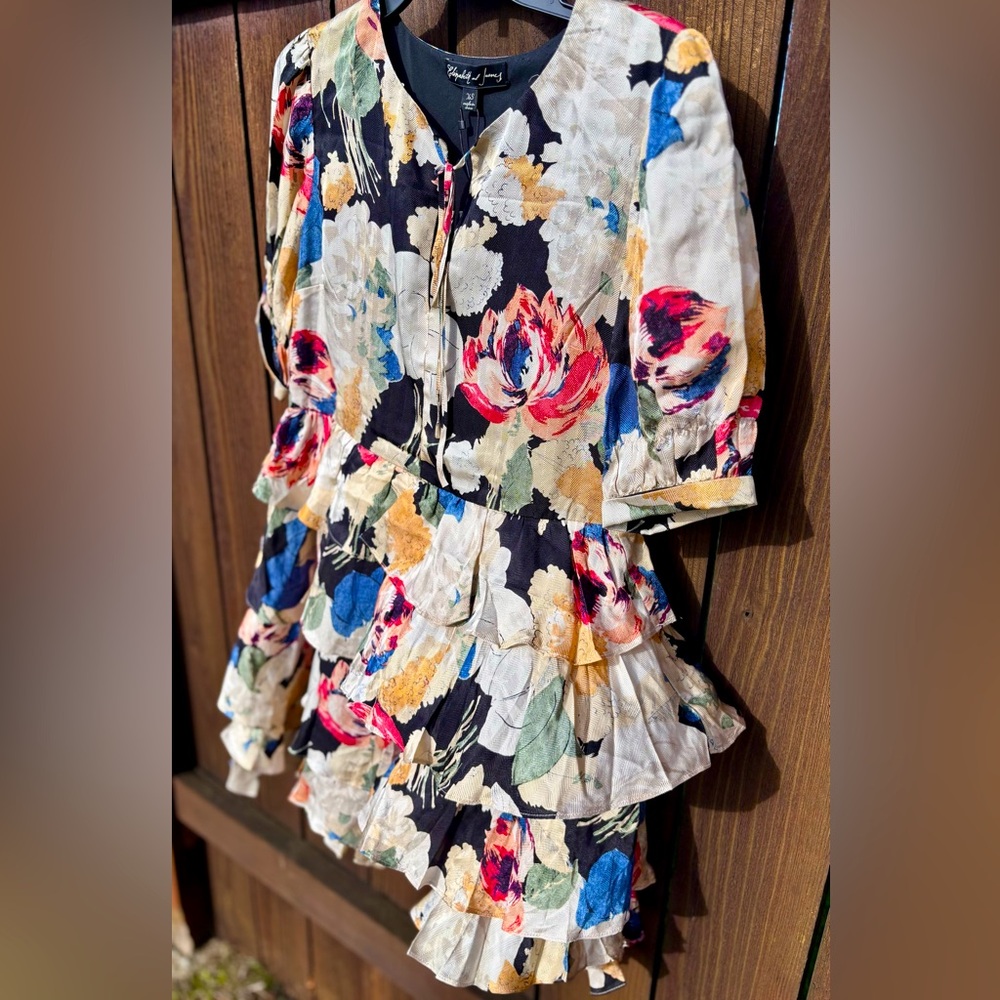 Elizabeth and James Multicolor Floral Ruffled Dress